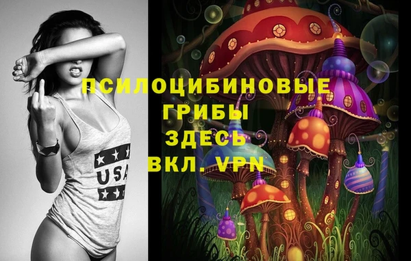 spice Нея