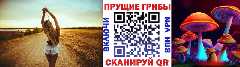 хочу   Биробиджан  Галлюциногенные грибы Psilocybe 