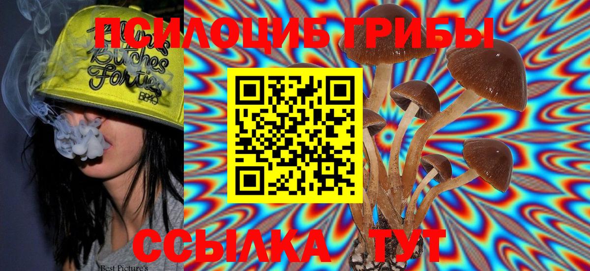 Псилоцибиновые грибы Psilocybine cubensis  Вход с VPN  Биробиджан  Галлюциногенные грибы Cubensis 