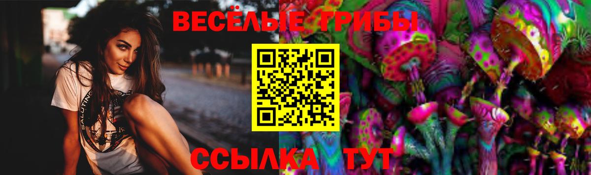 Псилоцибиновые грибы прущие грибы Биробиджан
